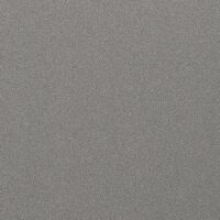 Display Billet Silver Metallic Clear Coat Exterior Paint 