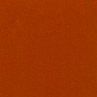 Display Copper Pearl-Coat Exterior Paint 